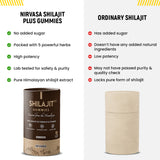 Shilajit Plus Gummies (60 Gummies)