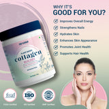 Nirvasa Plant-Based Collagen Builder 250 g